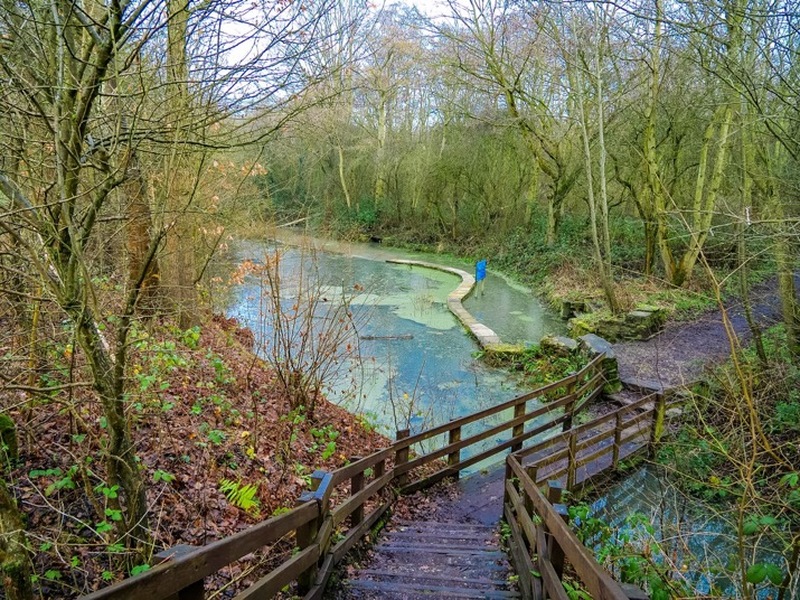 Other image for New generation of volunteers sought at award-winning nature reserve